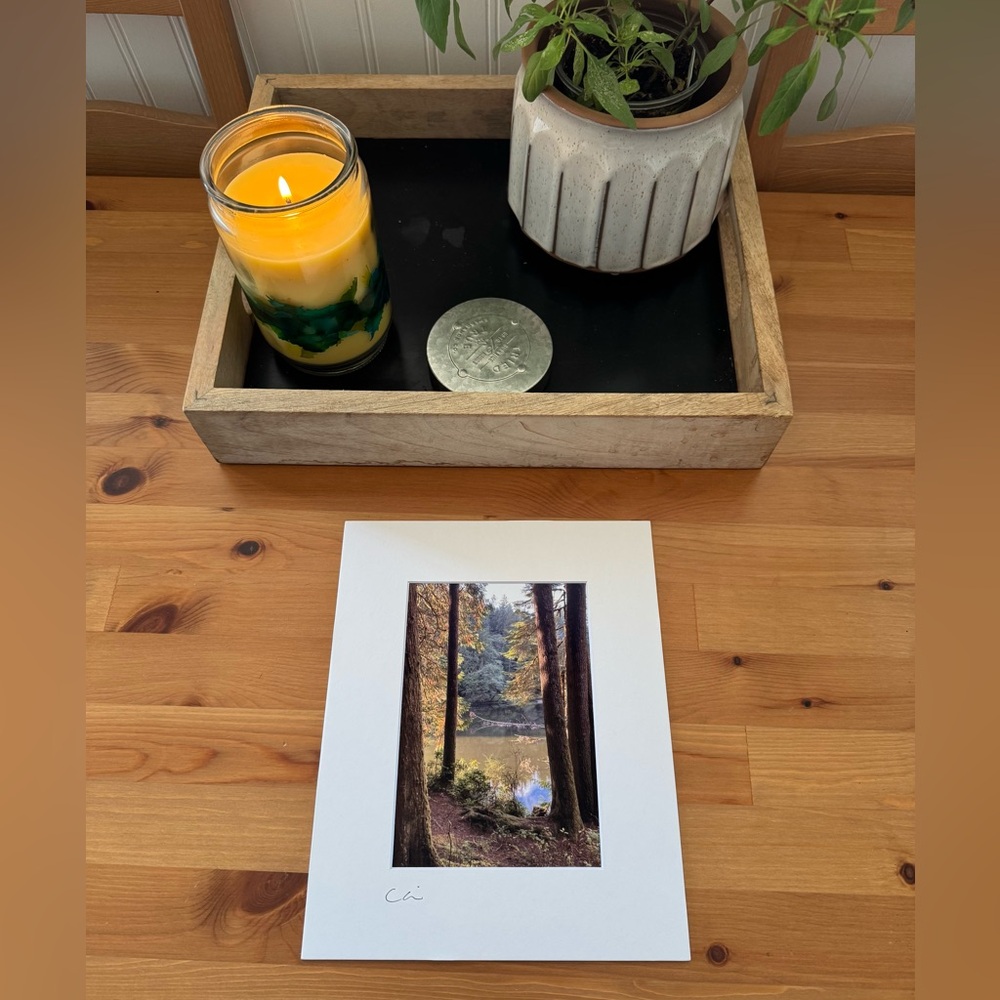 New Original Signed Photography